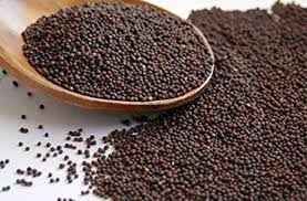 MUSTARD SEEDS SMALL (RAI) ADANI