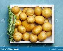 POTATO PIPE COLOR GRAIN MARKET