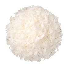 SHREDDED COCONUT SARAL