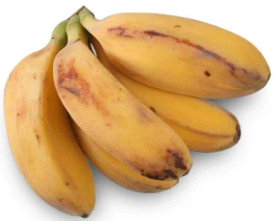 Saba Banana