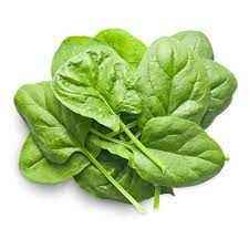 FRESH SPINACH BAG