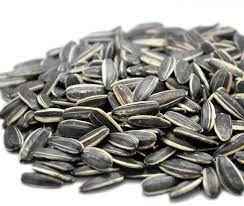 Baraka Sunflower Seed