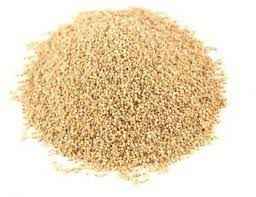MAYA POPPY SEEDS