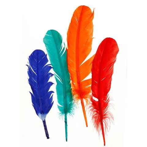 Feathera