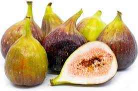 Famous Fresh Figs