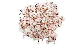 Bhakti Cotton Round
