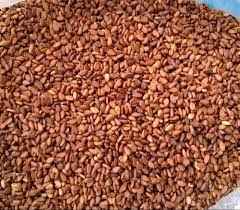BROWN SESAME SEED (TIL) GRAIN MARKET