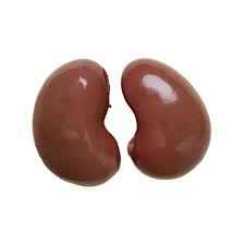 Halal Goat Kidneys