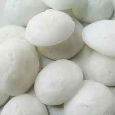 REAL PATASHA