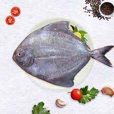 Fresh Black Pomfret