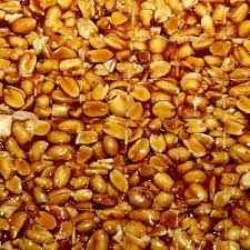 MAGANLALS PENUT CHIKKI