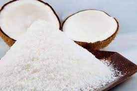 Adani Cococnut Powder
