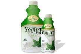 DESI YOGURT DRINK MINT