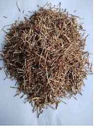 Adani Pooja Nuts Sali