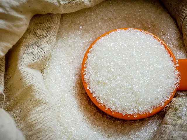 Swagat IndianSugar