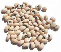 GM Black Eye Peas