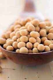 GM Soya Beans