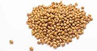 Himalayan White Bhatmas