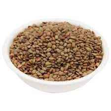 RAMDEV HORSE GRAM