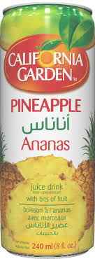 CA GARDEN PINEAPPLE