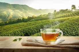 LX INDIA TEA