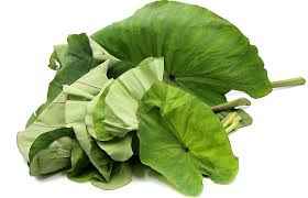 PATRA LEAVES