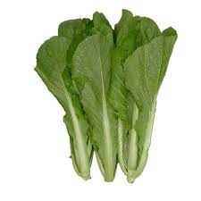MUSTARD LEAVES