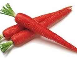INDIAN CARROT