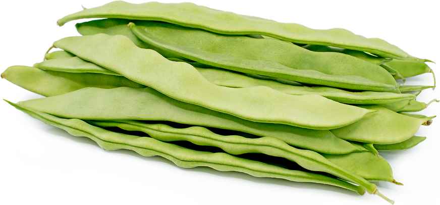 Romano Beans