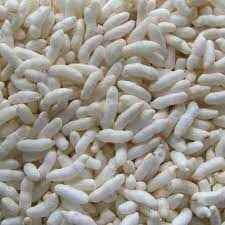 SHALINI PREMIUM MUMRA