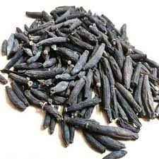 Export Marathi Moggu