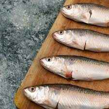 Fresh Frozen Bata