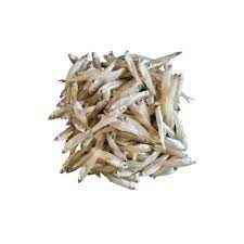 Fresh Frozen Keski