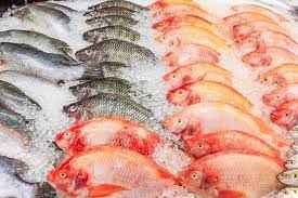 Fresh Frozen Mix Fish