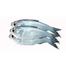 Fresh Frozen Chapila