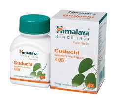 HIMALAYA GUDUCHI