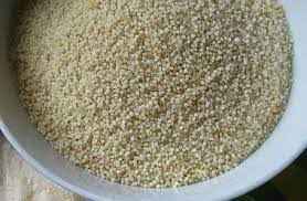 Nirav Samo Seeds