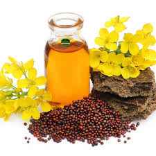Pukur Mustard Oil
