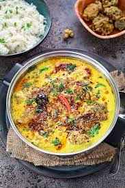 DAILY DELIGHT PUNJABI KADHI PAKODI