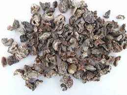 KRISHIV DRY AMLA