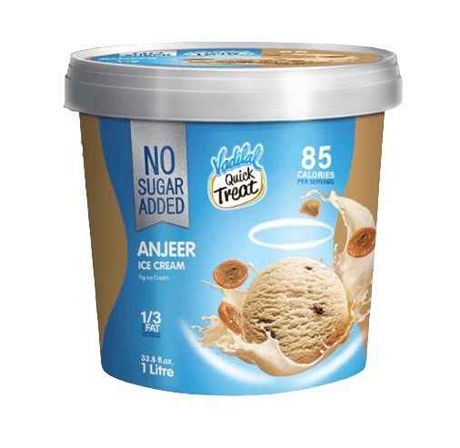 Vadilal Sugar Free Anjeer Ice Cream