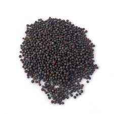 Spicy World Mustard Seed