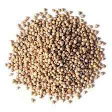 RAMDEV CORIANDER WHOLE