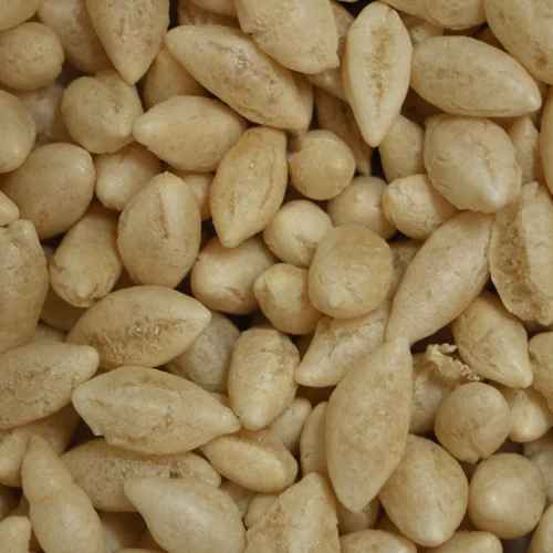 RAMDEV WHEAT MAMRA