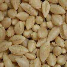 Shresth Wheat Mamra
