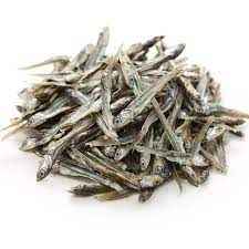 MF ANCHOVIES FISH