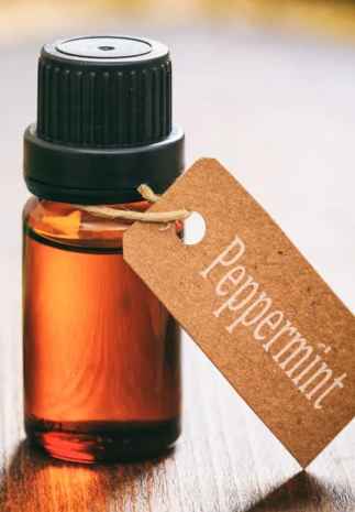 Ashwin Peppermint Oil