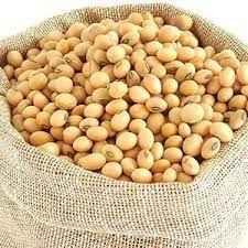 SWAGAT SOYA BEAN