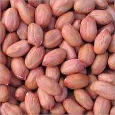 Aara Spanish Peanut