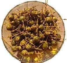 Ramdev Kerda Pickle
